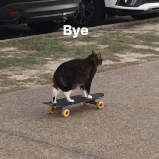 👋