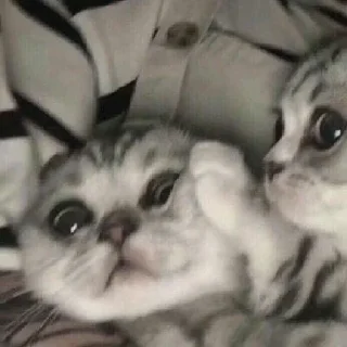 😳