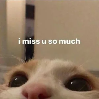 👀