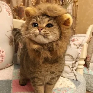 🦁