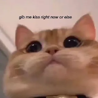 🥺