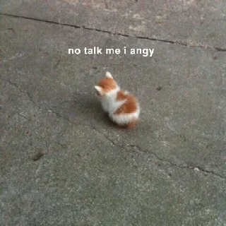 😾