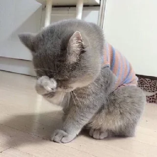 😢
