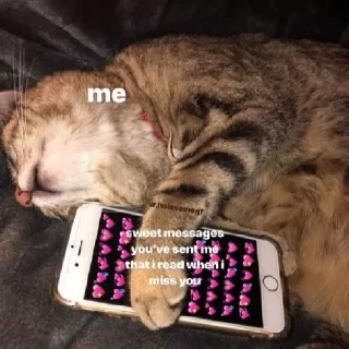🥺
