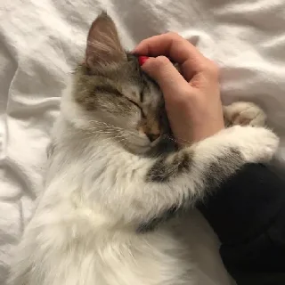 🥰