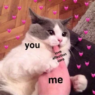 😋