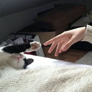 👉