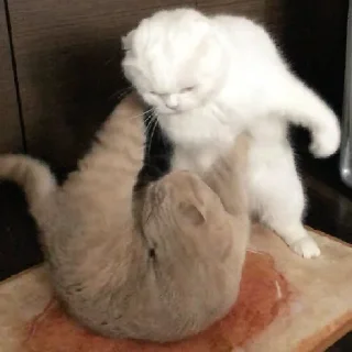 👊
