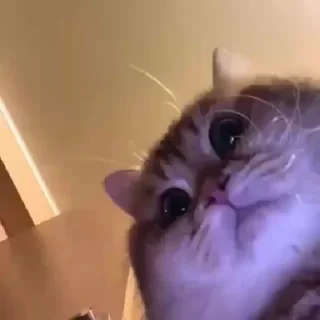 😐