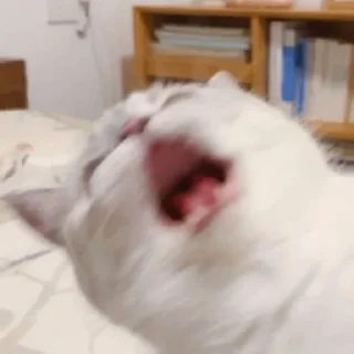 😫