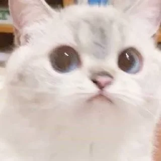 😳