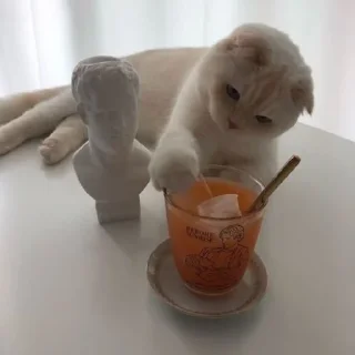 🍵