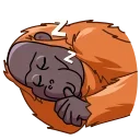 😴