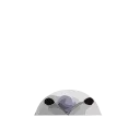 👋