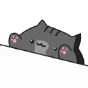 😼
