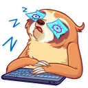 😴