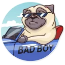 😎