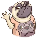 👋