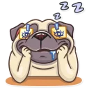 😴