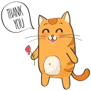🐱