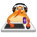 👨‍💻