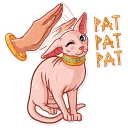 🐱