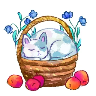 🐱