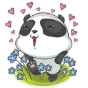🐼