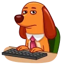 🧑‍💻