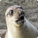 😯