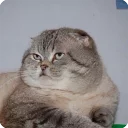 😐