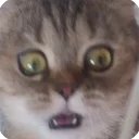 😮
