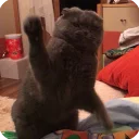 😠