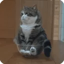 😐