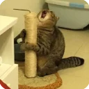 😲