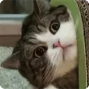😮