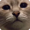 😢