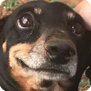 🙂