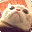😮