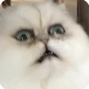 😨