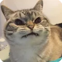 😠