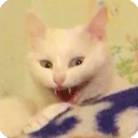 😁