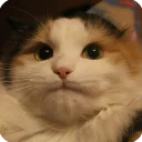 😐