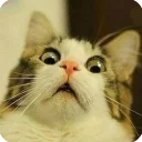 😨