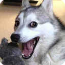 😃