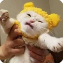 😠