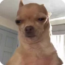 😶
