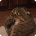😧