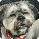 😐