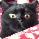 😧